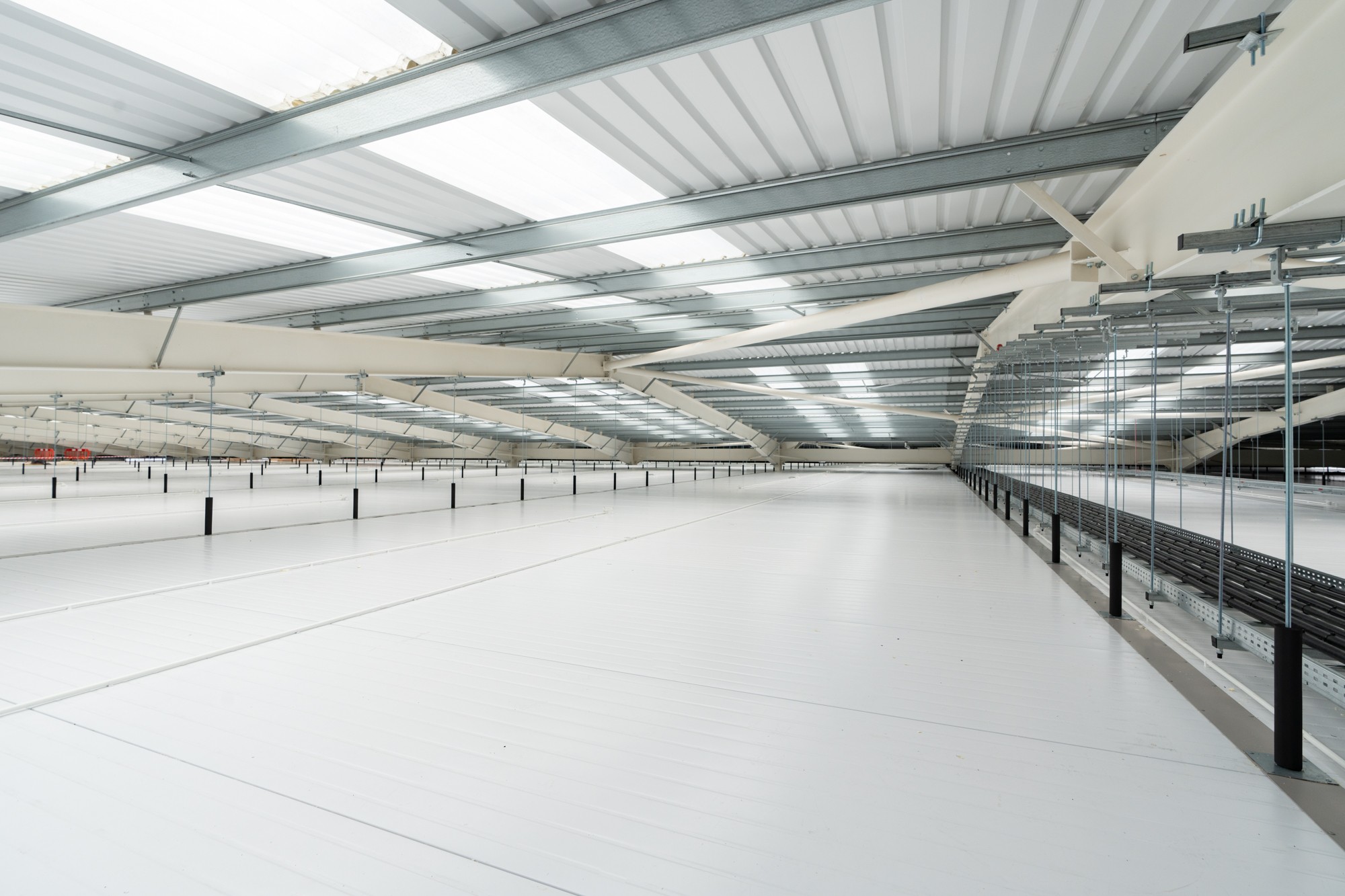Specialist facility interior with coordinated building services