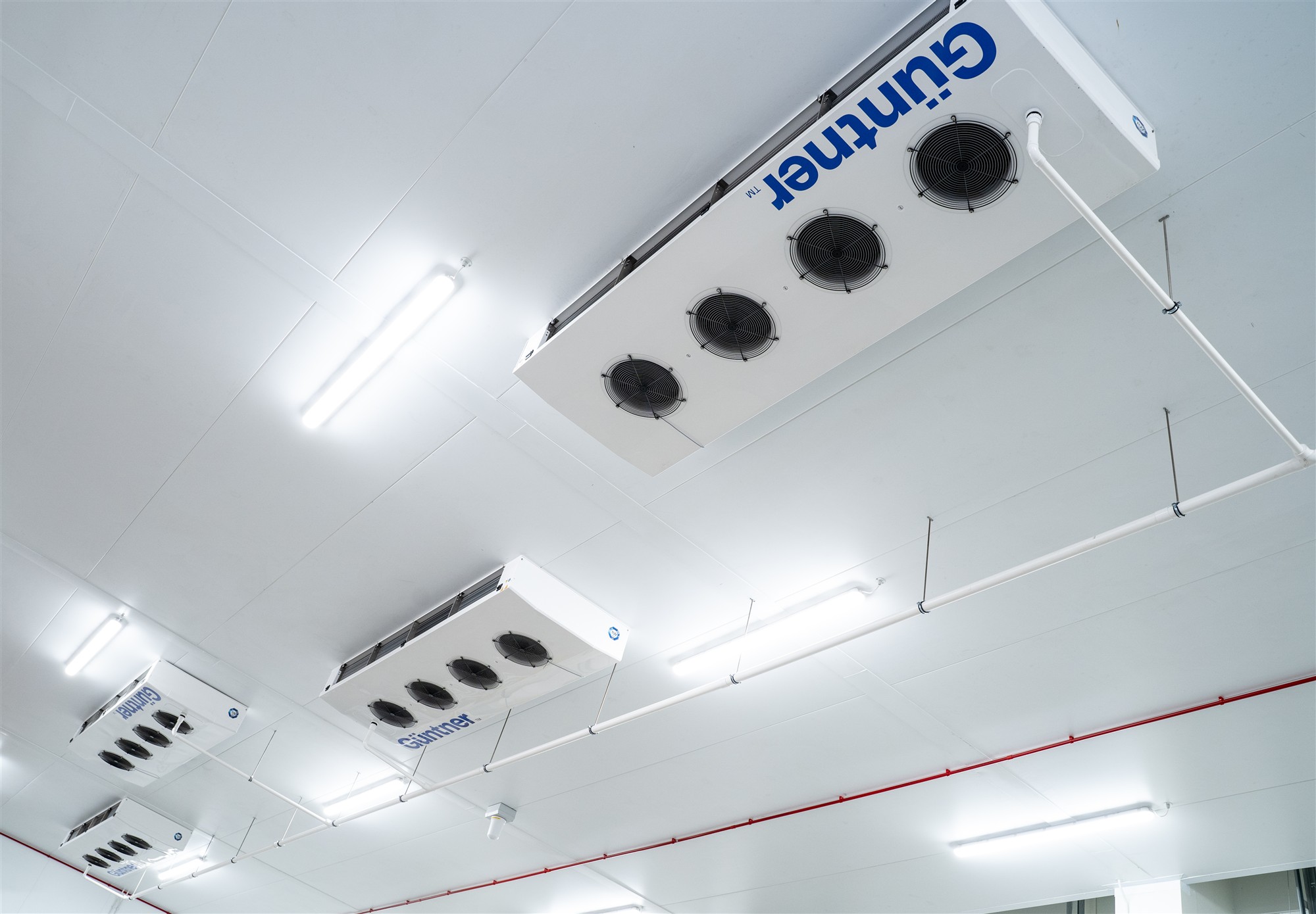 Overhead refrigeration equipment within a temperature-controlled facility